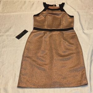 The Limited Black and Tan Dress